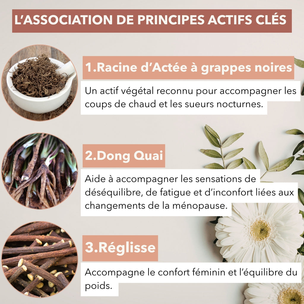 Patches Ménopause